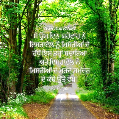 Picture 04 - ਖ਼ਰੋਜ 14:30 PANIRV - ਸੋ ਉਸ ਦਿਨ ਯਹੋਵਾਹ ਨੇ - Bible Verse Picture