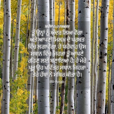 Picture 04 - ਖ਼ਰੋਜ 15:17 PANIRV - ਤੂੰ ਉਨ੍ਹਾਂ ਨੂੰ - Bible Verse Picture
