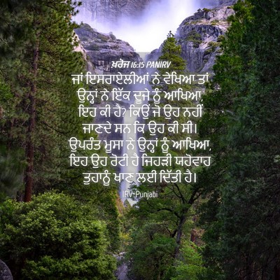 Picture 04 - ਖ਼ਰੋਜ 16:15 PANIRV - ਜਾਂ ਇਸਰਾਏਲੀਆਂ ਨੇ - Bible Verse Picture