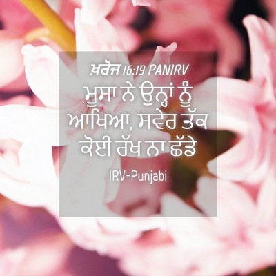 Picture 04 - ਖ਼ਰੋਜ 16:19 PANIRV - ਮੂਸਾ ਨੇ ਉਨ੍ਹਾਂ ਨੂੰ - Bible Verse Picture