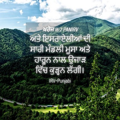 Picture 04 - ਖ਼ਰੋਜ 16:2 PANIRV - ਅਤੇ ਇਸਰਾਏਲੀਆਂ ਦੀ - Bible Verse Picture