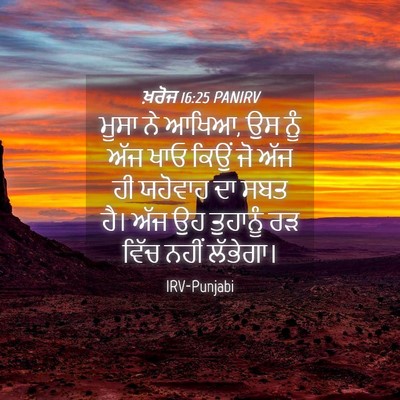 Picture 04 - ਖ਼ਰੋਜ 16:25 PANIRV - ਮੂਸਾ ਨੇ ਆਖਿਆ, ਉਸ - Bible Verse Picture