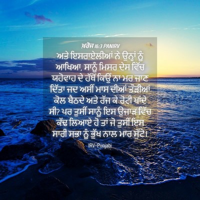 Picture 04 - ਖ਼ਰੋਜ 16:3 PANIRV - ਅਤੇ ਇਸਰਾਏਲੀਆਂ ਨੇ - Bible Verse Picture