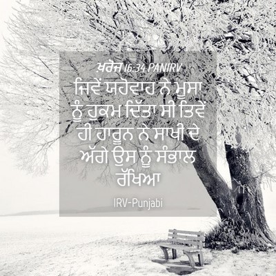 Picture 04 - ਖ਼ਰੋਜ 16:34 PANIRV - ਜਿਵੇਂ ਯਹੋਵਾਹ ਨੇ - Bible Verse Picture