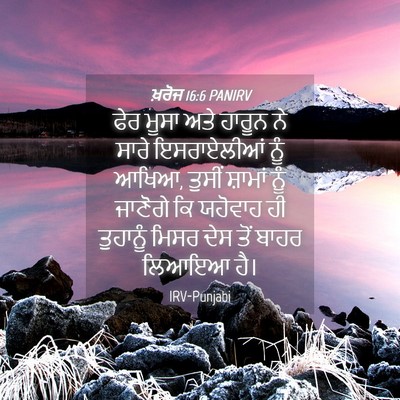Picture 04 - ਖ਼ਰੋਜ 16:6 PANIRV - ਫੇਰ ਮੂਸਾ ਅਤੇ ਹਾਰੂਨ - Bible Verse Picture