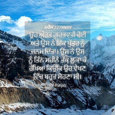 Picture 04 - ਖ਼ਰੋਜ 2:2 PANIRV - ਉਹ ਔਰਤ ਗਰਭਵਤੀ ਹੋਈ - Bible Verse Picture