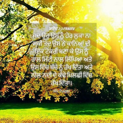 Picture 04 - ਖ਼ਰੋਜ 2:3 PANIRV - ਜਦ ਉਹ ਉਸ ਨੂੰ ਹੋਰ - Bible Verse Picture