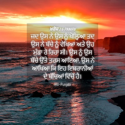 Picture 04 - ਖ਼ਰੋਜ 2:6 PANIRV - ਜਦ ਉਸ ਨੇ ਉਸ ਨੂੰ - Bible Verse Picture