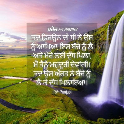Picture 04 - ਖ਼ਰੋਜ 2:9 PANIRV - ਤਦ ਫ਼ਿਰਊਨ ਦੀ ਧੀ ਨੇ - Bible Verse Picture