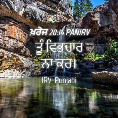 Picture 04 - ਖ਼ਰੋਜ 20:14 PANIRV - ਤੂੰ ਵਿਭਚਾਰ ਨਾ - Bible Verse Picture