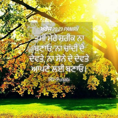 Picture 04 - ਖ਼ਰੋਜ 20:23 PANIRV - ਤੁਸੀਂ ਮੇਰੇ ਸ਼ਰੀਕ - Bible Verse Picture