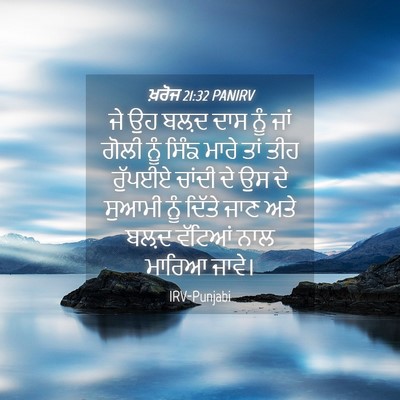 Picture 04 - ਖ਼ਰੋਜ 21:32 PANIRV - ਜੇ ਉਹ ਬਲ਼ਦ ਦਾਸ ਨੂੰ - Bible Verse Picture