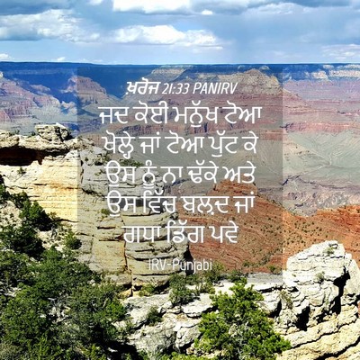 Picture 04 - ਖ਼ਰੋਜ 21:33 PANIRV - ਜਦ ਕੋਈ ਮਨੁੱਖ ਟੋਆ - Bible Verse Picture