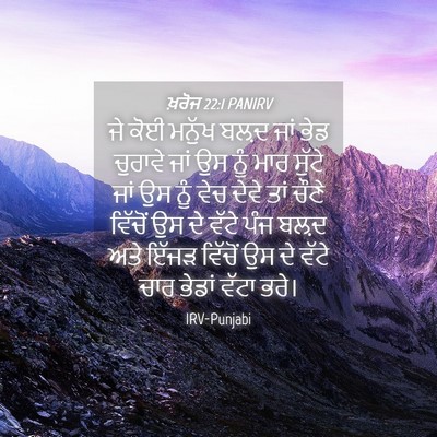 Picture 04 - ਖ਼ਰੋਜ 22:1 PANIRV - ਜੇ ਕੋਈ ਮਨੁੱਖ ਬਲ਼ਦ - Bible Verse Picture