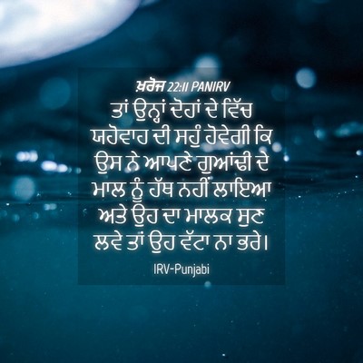 Picture 04 - ਖ਼ਰੋਜ 22:11 PANIRV - ਤਾਂ ਉਨ੍ਹਾਂ ਦੋਹਾਂ - Bible Verse Picture