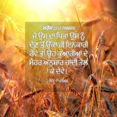 Picture 04 - ਖ਼ਰੋਜ 22:17 PANIRV - ਜੇ ਉਸ ਦਾ ਪਿਤਾ ਉਸ - Bible Verse Picture