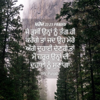 Picture 04 - ਖ਼ਰੋਜ 22:23 PANIRV - ਜੇ ਤੁਸੀਂ ਉਨ੍ਹਾਂ - Bible Verse Picture