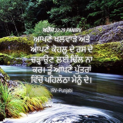 Picture 04 - ਖ਼ਰੋਜ 22:29 PANIRV - ਆਪਣੇ ਖਲਵਾੜੇ ਅਤੇ - Bible Verse Picture