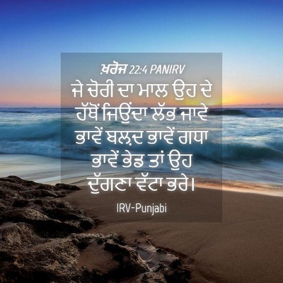 Picture 04 - ਖ਼ਰੋਜ 22:4 PANIRV - ਜੇ ਚੋਰੀ ਦਾ ਮਾਲ ਉਹ - Bible Verse Picture