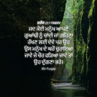 Picture 04 - ਖ਼ਰੋਜ 22:7 PANIRV - ਜਦ ਕੋਈ ਮਨੁੱਖ ਆਪਣੇ - Bible Verse Picture