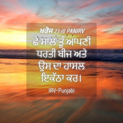 Picture 04 - ਖ਼ਰੋਜ 23:10 PANIRV - ਛੇ ਸਾਲ ਤੂੰ ਆਪਣੀ - Bible Verse Picture