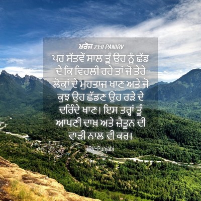 Picture 04 - ਖ਼ਰੋਜ 23:11 PANIRV - ਪਰ ਸੱਤਵੇਂ ਸਾਲ ਤੂੰ - Bible Verse Picture