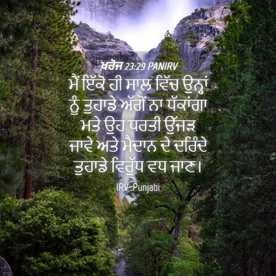 Picture 04 - ਖ਼ਰੋਜ 23:29 PANIRV - ਮੈਂ ਇੱਕੋ ਹੀ ਸਾਲ - Bible Verse Picture