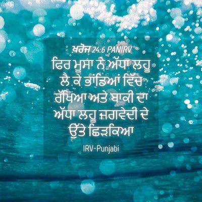 Picture 04 - ਖ਼ਰੋਜ 24:6 PANIRV - ਫਿਰ ਮੂਸਾ ਨੇ ਅੱਧਾ - Bible Verse Picture