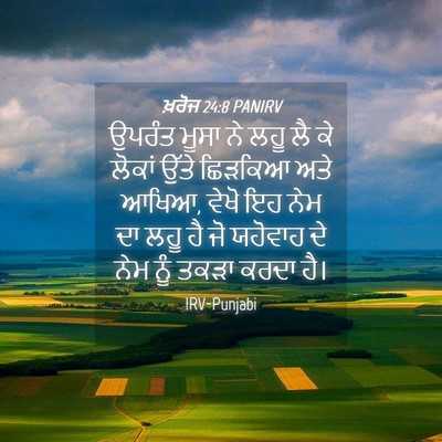 Picture 04 - ਖ਼ਰੋਜ 24:8 PANIRV - ਉਪਰੰਤ ਮੂਸਾ ਨੇ ਲਹੂ - Bible Verse Picture