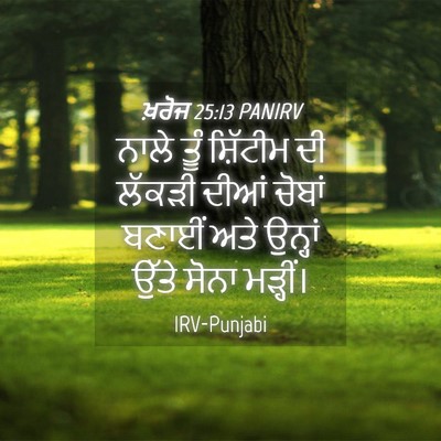 Picture 04 - ਖ਼ਰੋਜ 25:13 PANIRV - ਨਾਲੇ ਤੂੰ ਸ਼ਿੱਟੀਮ - Bible Verse Picture