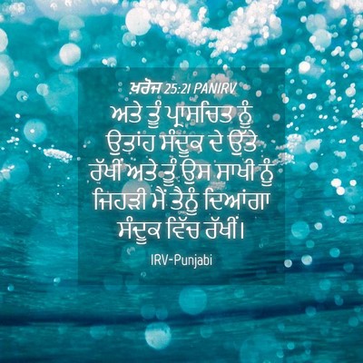Picture 04 - ਖ਼ਰੋਜ 25:21 PANIRV - ਅਤੇ ਤੂੰ ਪ੍ਰਾਸਚਿਤ - Bible Verse Picture