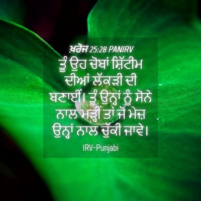 Picture 04 - ਖ਼ਰੋਜ 25:28 PANIRV - ਤੂੰ ਉਹ ਚੋਬਾਂ - Bible Verse Picture