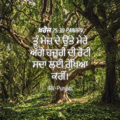 Picture 04 - ਖ਼ਰੋਜ 25:30 PANIRV - ਤੂੰ ਮੇਜ਼ ਦੇ ਉੱਤੇ - Bible Verse Picture