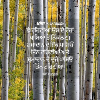Picture 04 - ਖ਼ਰੋਜ 25:32 PANIRV - ਛੇ ਟਹਿਣੀਆਂ ਉਸ ਦੇ - Bible Verse Picture