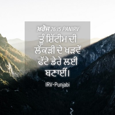 Picture 04 - ਖ਼ਰੋਜ 26:15 PANIRV - ਤੂੰ ਸ਼ਿੱਟੀਮ ਦੀ - Bible Verse Picture