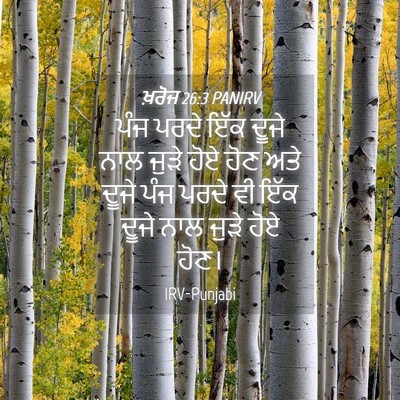 Picture 04 - ਖ਼ਰੋਜ 26:3 PANIRV - ਪੰਜ ਪਰਦੇ ਇੱਕ ਦੂਜੇ - Bible Verse Picture