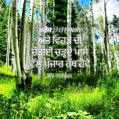 Picture 04 - ਖ਼ਰੋਜ 27:13 PANIRV - ਅਤੇ ਵਿਹੜੇ ਦੀ ਚੌੜਾਈ - Bible Verse Picture