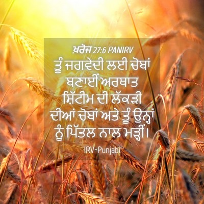Picture 04 - ਖ਼ਰੋਜ 27:6 PANIRV - ਤੂੰ ਜਗਵੇਦੀ ਲਈ - Bible Verse Picture