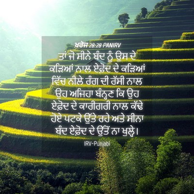 Picture 04 - ਖ਼ਰੋਜ 28:28 PANIRV - ਤਾਂ ਜੋ ਸੀਨੇ ਬੰਦ ਨੂੰ - Bible Verse Picture