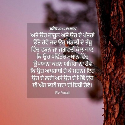Picture 04 - ਖ਼ਰੋਜ 28:43 PANIRV - ਅਤੇ ਉਹ ਹਾਰੂਨ ਅਤੇ ਉਹ - Bible Verse Picture