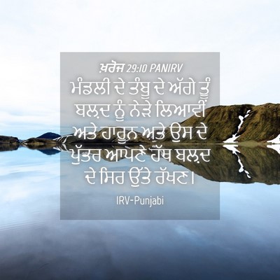 Picture 04 - ਖ਼ਰੋਜ 29:10 PANIRV - ਮੰਡਲੀ ਦੇ ਤੰਬੂ ਦੇ - Bible Verse Picture
