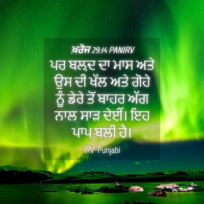 Picture 04 - ਖ਼ਰੋਜ 29:14 PANIRV - ਪਰ ਬਲ਼ਦ ਦਾ ਮਾਸ ਅਤੇ - Bible Verse Picture