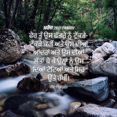 Picture 04 - ਖ਼ਰੋਜ 29:17 PANIRV - ਫੇਰ ਤੂੰ ਉਸ ਛੱਤਰੇ - Bible Verse Picture