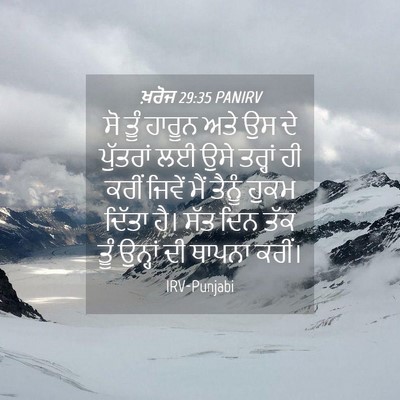 Picture 04 - ਖ਼ਰੋਜ 29:35 PANIRV - ਸੋ ਤੂੰ ਹਾਰੂਨ ਅਤੇ ਉਸ - Bible Verse Picture