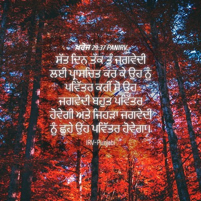 Picture 04 - ਖ਼ਰੋਜ 29:37 PANIRV - ਸੱਤ ਦਿਨ ਤੱਕ ਤੂੰ - Bible Verse Picture