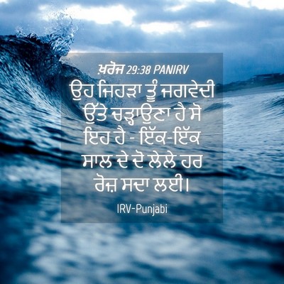 Picture 04 - ਖ਼ਰੋਜ 29:38 PANIRV - ਉਹ ਜਿਹੜਾ ਤੂੰ - Bible Verse Picture