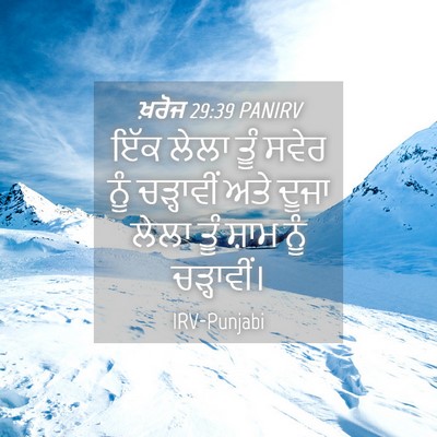 Picture 04 - ਖ਼ਰੋਜ 29:39 PANIRV - ਇੱਕ ਲੇਲਾ ਤੂੰ ਸਵੇਰ - Bible Verse Picture