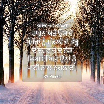 Picture 04 - ਖ਼ਰੋਜ 29:4 PANIRV - ਹਾਰੂਨ ਅਤੇ ਉਸ ਦੇ - Bible Verse Picture