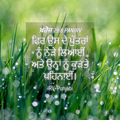 Picture 04 - ਖ਼ਰੋਜ 29:8 PANIRV - ਫਿਰ ਉਸ ਦੇ ਪੁੱਤਰਾਂ - Bible Verse Picture