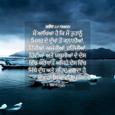 Picture 04 - ਖ਼ਰੋਜ 3:17 PANIRV - ਮੈਂ ਆਖਿਆ ਹੈ ਕਿ ਮੈਂ - Bible Verse Picture